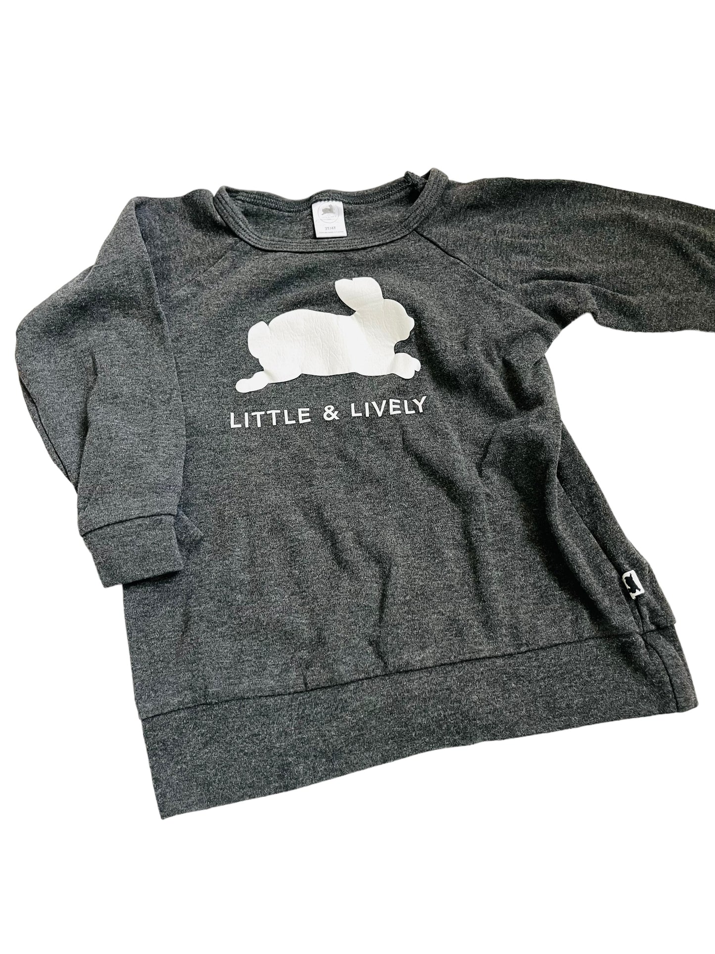 Little and lively sweatshirt 3-4y